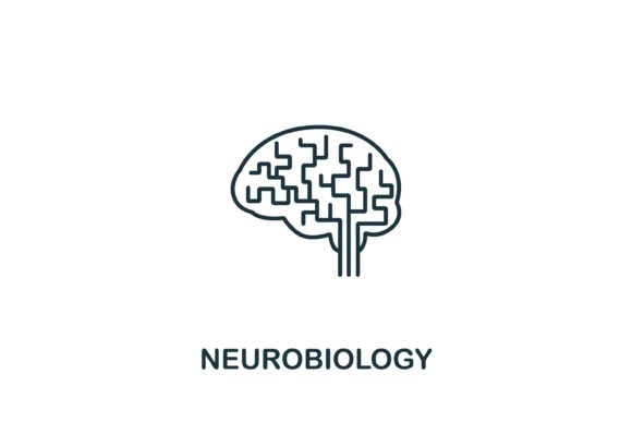 Understanding Neurobiology: Applications, Comparisons, and Practical Insights